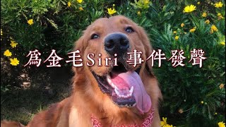 为金毛Siri事件发声