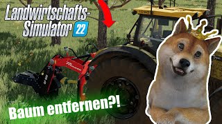 LS25 Wie Bäume entfernen? | Bäume komplett entfernen | LS25 Tutorial