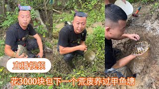 【直播视频】花3000块包下一个荒废养过甲鱼塘，没想到里面都是大货 【在养殖场安全，请大家不要模仿】