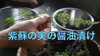 【マアサの台所】紫蘇の実の醤油漬け