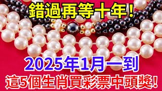 錯過再等十年！喜歡買彩票的注意了！2025年1月一到，這5個生肖買彩票中頭獎！#風水 #運勢 #轉運 #人生感悟