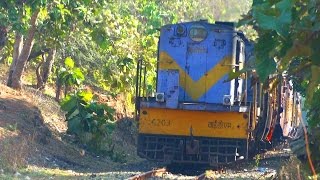 [IRFCA] Junagadh - Delvada MG Passenger passing through Sasan Gir