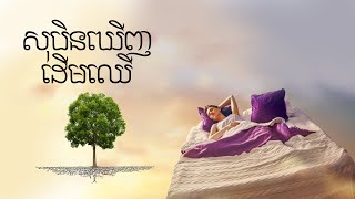 អត្តន័យសុបិនឃើញដើមឈើ - meaning dream about tree