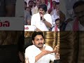 #pawankalyan Fire On #ysjagan #chandrababu #rkroja #shorts #ytshorts - @TeluguFilmNewsHD