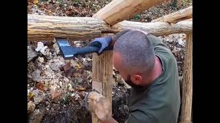 Wildlife Documentary: Mastering Shelter Construction in the Wilderness 🏕️