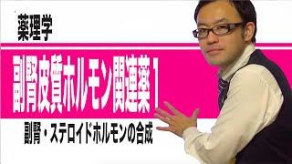 副腎皮質ホルモン関連薬①（副腎、ステロイドホルモンの生合成）