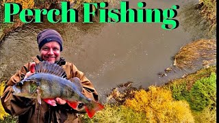 Fishing for Perch on a Small river (Video 265)