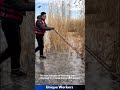 man cuts reeds on a frozen lake the workers do their job perfectly machine shorts