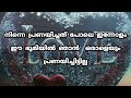 ഞാൻ ഈ മണ്ണിൽ നിന്നും എന്നെന്നേക്കുമായി യാത്രയാക്കിയതിനുശേഷമേ നീ ഈ മണ്ണിൽ നിന്നും വിട പറയാവൂ പ്രണയം