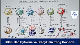 # 366. Hiểu về hệ miễn dịch và cơn bão Cytokine trong Covid-19