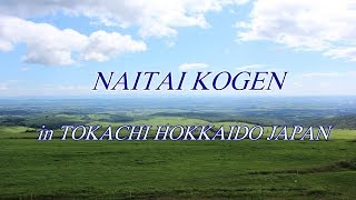 アメリカ人の女性と北海道十勝地方にあるナイタイ高原牧場に行ってきた。\