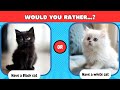 Would you Rather - Cats Edition 😺😻