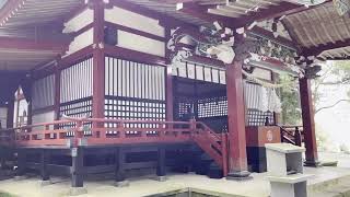 【713日目】のぶよめさんと霧島へ！霧島神宮と霧島東神社に参拝した【ぼっち動画】