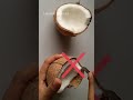 Kitchen Tips | How to remove coconut from shell without heating #shorts #kitchentips