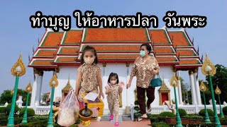 ทำบุญ ให้อาหารปลา วันพระ | น้องเพลง