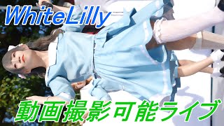 WhiteLilly_アイドル/縦動画[4K/60P]シタマチハロウィン/2022.10.29