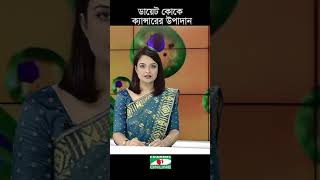 ডায়েট কোক কেন খাবেন না।