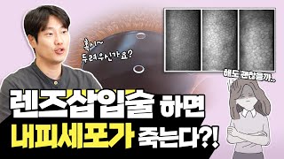 렌즈삽입술 하면 각막내피세포가 죽을까?