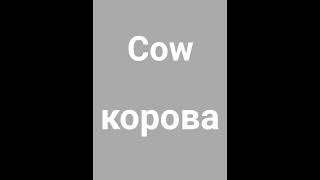 How to say cow in Russian #shorts #pronunciation #trending #language #russian #instagram #корова #yt