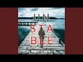 Chapter 14.2 - Unstable (A Cora Shields Suspense Thriller—Book 6)