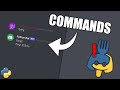 Coding a Discord Bot with Python (Part 1: Setup & First Command)