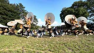 【にっぽんど真ん中祭り】福井大学よっしゃこい 中川・荒子公園会場 2023年度演舞『漣』2023/8/27