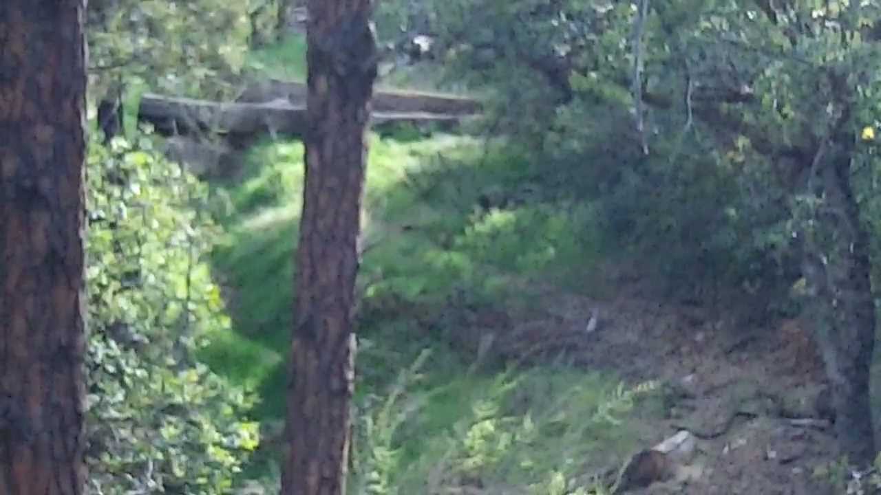 Spot The Sniper Test