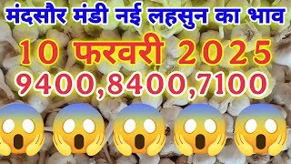 मंदसौर मंडी का नई लहसुन का भाव | Ooty Garlic Rate | Ooty Lahsun Bhav | Lahsun Bhav