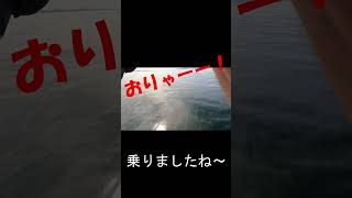 100均タックルでタコ釣り