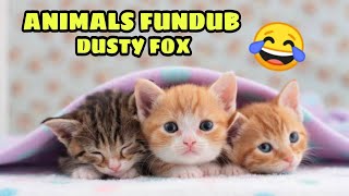 ANIMALS FUN DUB🤣🤣❌️ | MALAYALAM FUN DUB | MALAYALAM VINES | DUSTY FOX