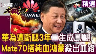 【習近平突圍】華為被逼成不死鳥...10年趕上「歐美努力30年成果」！遭美打斷雙腿3年「Mate70搭純血鴻蒙」浴火重生？！｜#環球大戰線 @Global-vision-talk