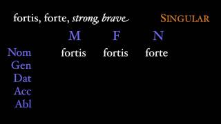 Third Declension Adjectives