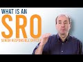 What is a Senior Responsible Owner - SRO? PM in Under 5