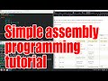 Simple assembly language programming tutorial for beginners - December 2024 - f5f45a97