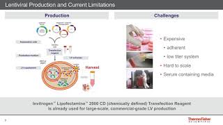 New viral and non viral platforms for T cell engineering - Xavier de Mollerat du Jeu