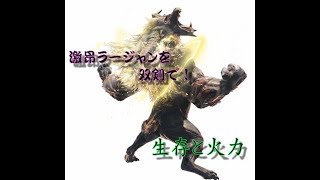 【MHW:IB】激昂ラージャン対策双剣～生存は火力～