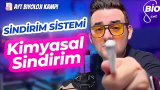 Sindirim Sistemi-3 Besinlerin Kimyasal Sindirimi | Ayt Biyoloji Konu Anlatımı 11. Sınıf | 2024