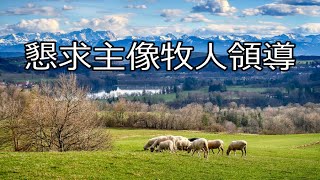 生命聖詩311 | 懇求主像牧人領導 | Saviour, Like a Shepherd, Lead Us | PLEASANT PASTURES (BRADBURY)