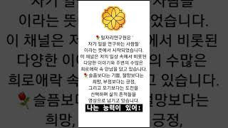 원하는 건 다 이룰수 있어 나는 능력있어#감사 #배움 #도전#일자리