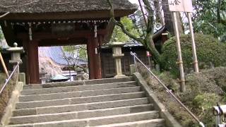 「武蔵野」の面影を残す、調布市に有る『深大寺参道』の歩行動画