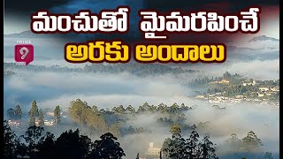 మంచు కురిసే వేళలో మైమరపించే అరకు అందాలు | Araku Valley Beauty In Winter Season | Prime9 News