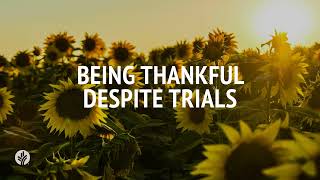 Being Thankful Despite Trials | Audio Reading | Our Daily Bread Devotional | November 25, 2024