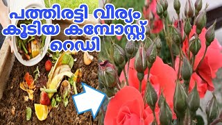 ഇതൊരു പിടി മതി പൂക്കൾ താനേ നിറയും Powerful NPK COMPOST