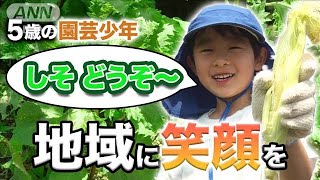 【5歳園芸少年】”しそ　おすそわけ！”笑顔でつなぐ【地域の輪】(2021年6月25日)