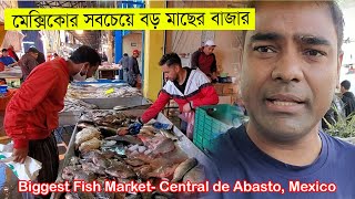 মেক্সিকোর সবচেয়ে বড় মাছের বাজার। Biggest fish market in Mexico | Central de Abasto