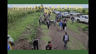 በሀላባ ዞን አቶቲ ኡሎ ወረዳ የኩታ ገጠም የበቆሎ ማሳ