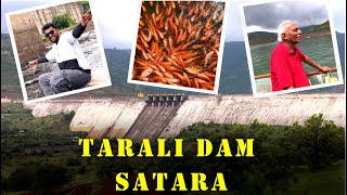 Tarali Dam Fish Farming | तारळी धरण | सातारा #2024  #satara