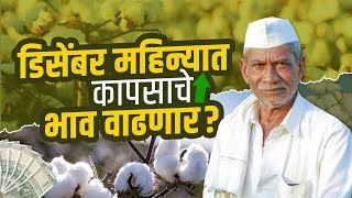 डिसेंबर महिन्यात कापसाचे भाव वाढणार? December month cotton rate.