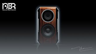 Audiophile Secrets: How to Get the Best High-End Sound