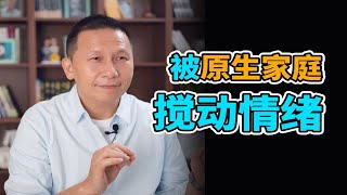 每一次你被原生家庭搅动情绪时，一个“年幼的你”到来了